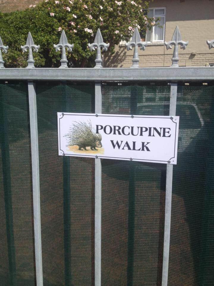 Porcupine Walk Apartman Simonʼs Town Kültér fotó